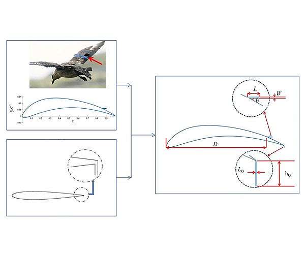 Bionic wing flaps improve wind energy efficiency