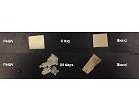 Study shows potential for Earth-friendly plastic replacement