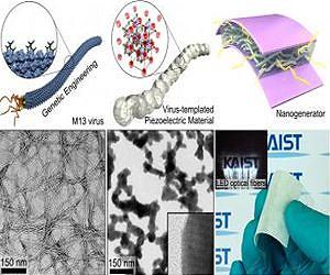 KAIST developed the biotemplated design of piezoelectric energy harvesting device