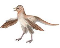 Dinosaurs and birds kept evolving by shrinking