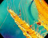 Laser pulses help scientists tease apart complex electron interactions