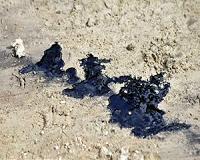 Canadian oil company said oil seepage cleaned from Alberta