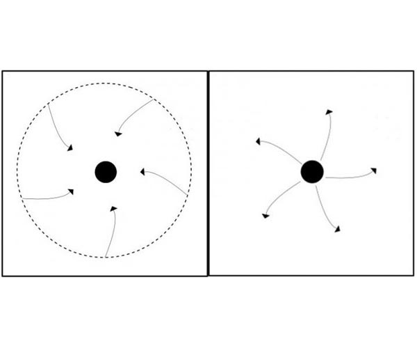 Primordial naked singularities may offer insights into quantum gravity