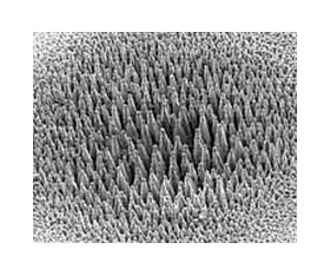 Solar cells made from black silicon
