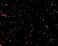NASA Observatory Confirms Black Hole Limits