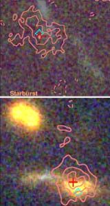Distant Super-Starburst Galaxies Hide Active Black Holes
