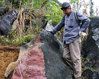 What A 250-Million-Year-Old Extinction Event Can Tell Us About The Earth Today