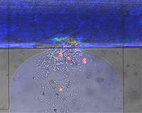 Self-sealing miniature 'wound' created by engineers