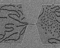 Argonne scientists announce first room-temperature magnetic skyrmion bubbles