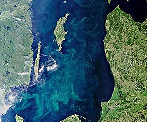 Russia seeks Baltic pollution partnerships