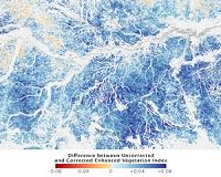 NASA Study Points to Infrared-Herring in Apparent Amazon Green-Up