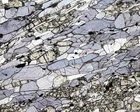 Age of blueschist is not an indicator of when plate tectonics began