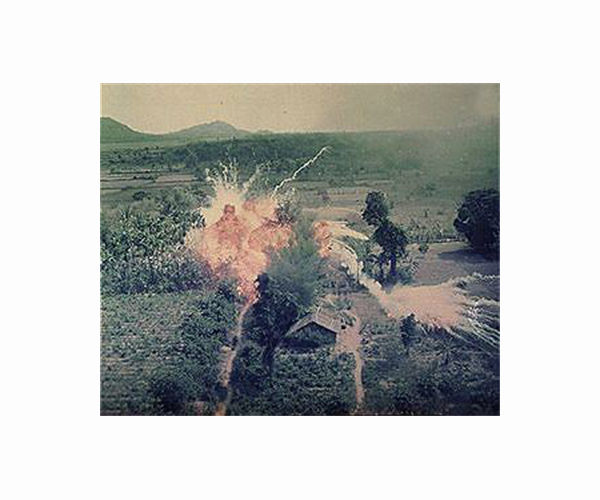 The Vietnamese octogenarian fighting for Agent Orange victims