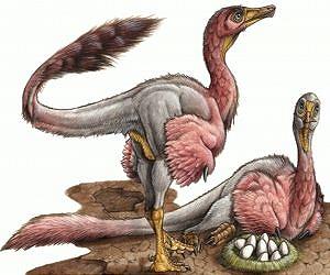 Eggs of enigmatic dinosaur discovered