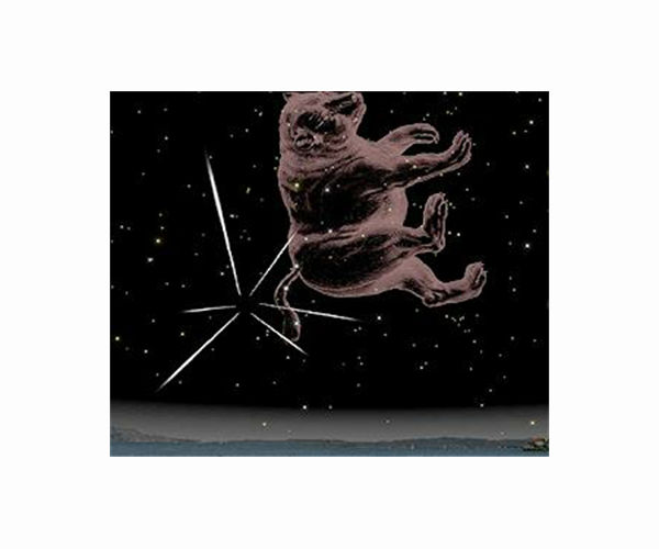 Quadrantids offer winter meteor spectacle
