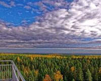 Researchers solve puzzle as to how forests can effect our climate
