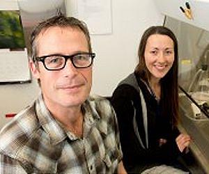 Algal ancestor is key to how deadly pathogens proliferate