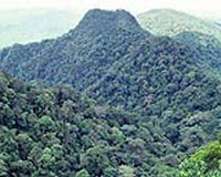 India to train US 'Green Berets' in jungle warfare