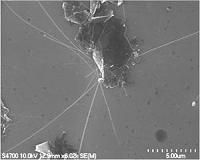 Better together: Graphene-nanotube hybrid switches
