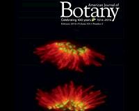 Serpentine ecosystems shed light on the nature of plant adaptation and speciation