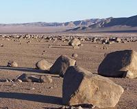 Driest Place on Earth Hosts Life