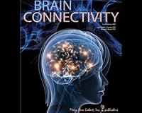 Less connectivity improves innovation
