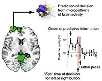 Unconscious Decisions In The Brain
