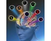 New research suggests problematic memories could be deleted