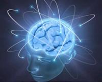How does the human brain tackle problems it did not evolve to solve?