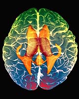 Computer Assisted Neuro-Rehabilitation Devices Way of the Future