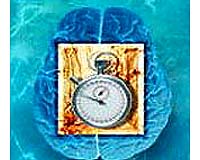 How Your Body Clock Avoids Hitting The Snooze Button