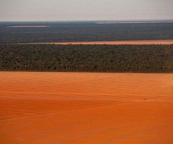 Deforestation drives climate change that harms remaining forest