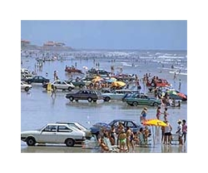 10 000 000 Flex-Fuel Vehicles Strong In Brazil