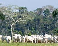 Brazil gives boost in push for climate deal
