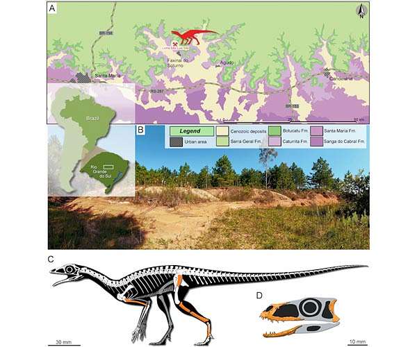 A new 225-million-year-old reptile from Brazil