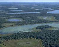 Rising Energy, Food Prices Major Threats To Wetlands As Farmers Eye New Areas For Crops