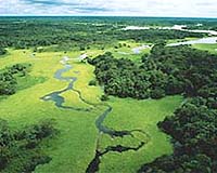 Drought State Of Emergency Declared In Brazil's Amazon