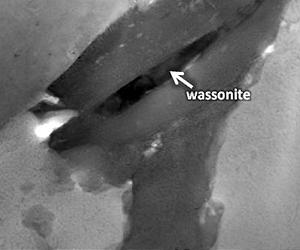Scientists Find New Type of Mineral in Historic Meteorite