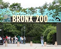 Wildlife Conservation Society Measures Its Carbon Footprint