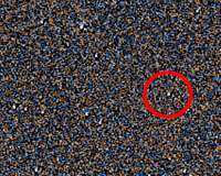 Citizen scientists uncover a cold new world near sun
