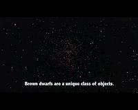 Brown dwarfs reveal exoplanets' secrets