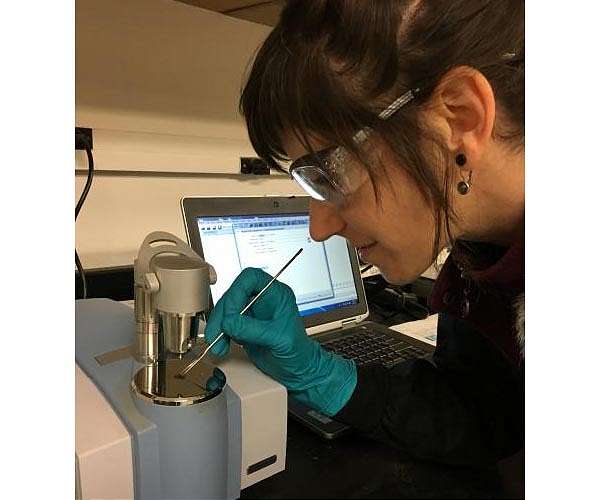Multiple Lab Analyses of Antarctic Minerals Offer a Better Understanding of Mars
