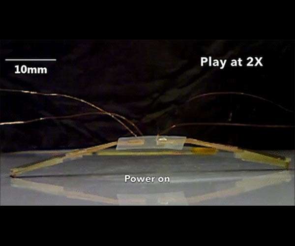 Robot bugs that can go just about anywhere