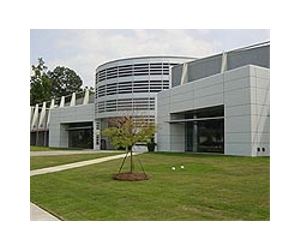 Nitrogen Fertilizers' Impact on Lawn Soils