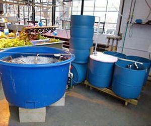New Integrated Building Model to Improve Success of Fish Farming Operations