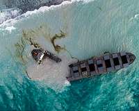 Mauritius arrests captain of ship in oil spill: police