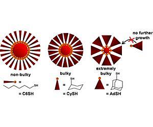 Study Improves Understanding of Surface Molecules in Controlling Size of Gold Nanoparticles