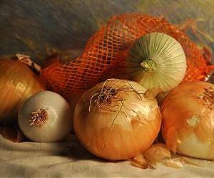 How onions recognize when to bulb