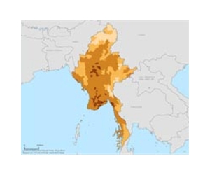 Hope and suspicion dog Myanmar cease-fire