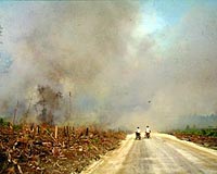 Atmospheric Scientists Trace The Human Role In Indonesian Forest Fires